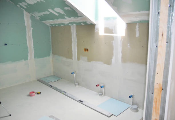 Best Black Mold Removal  in Pierz, MN