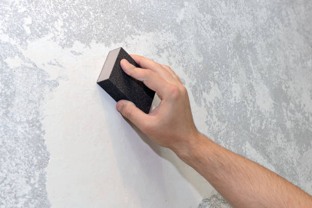 Best Industrial Mold Remediation  in Pierz, MN