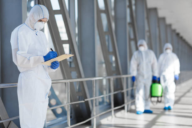 Best Commercial Mold Inspection  in Pierz, MN