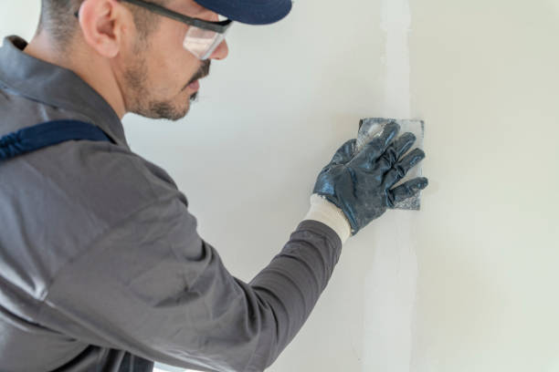 Best Environmental Consulting for Mold Prevention  in Pierz, MN