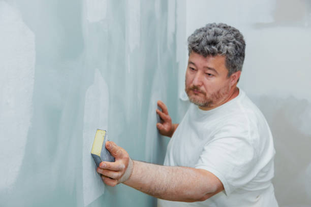Dehumidification Services in Pierz, MN