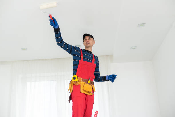 Best HVAC Mold Inspection and Cleaning  in Pierz, MN