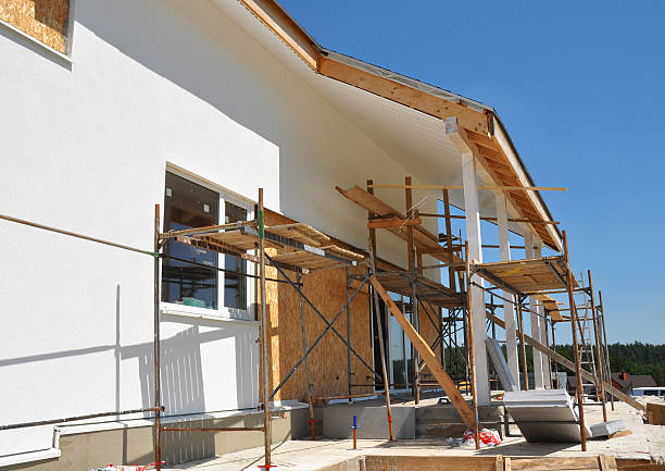 Best Mold Documentation for Insurance Claims  in Pierz, MN