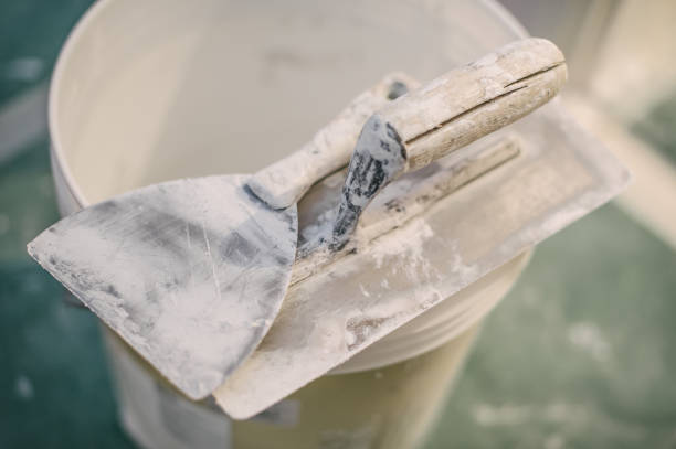 Best Dehumidification Services  in Pierz, MN