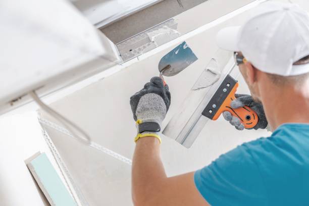 Best Mold Damage Restoration  in Pierz, MN